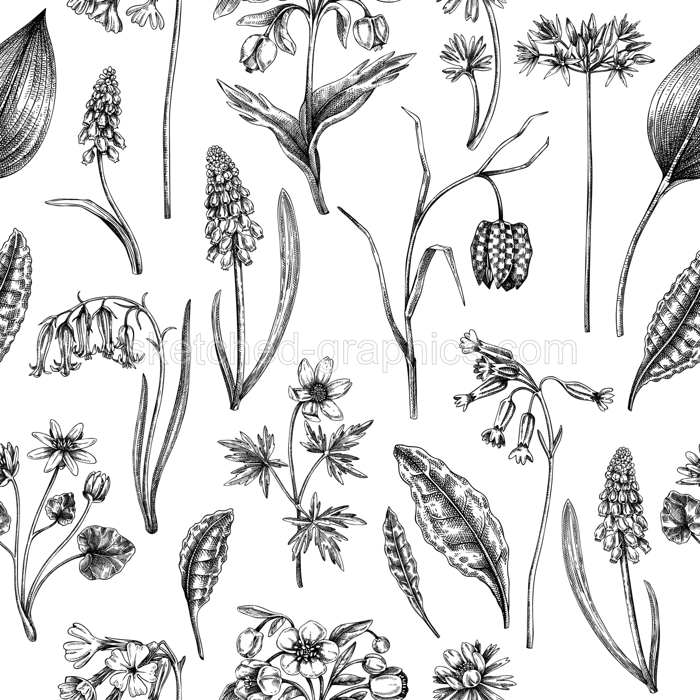 Hand-drawn wildflowers background design. Vintage woodland flowers sketches. Seamless spring pattern. Forest plant illustration. Cowslip, bluebell, grape hyacinth, hellebore, fritillary backdrop Illustration